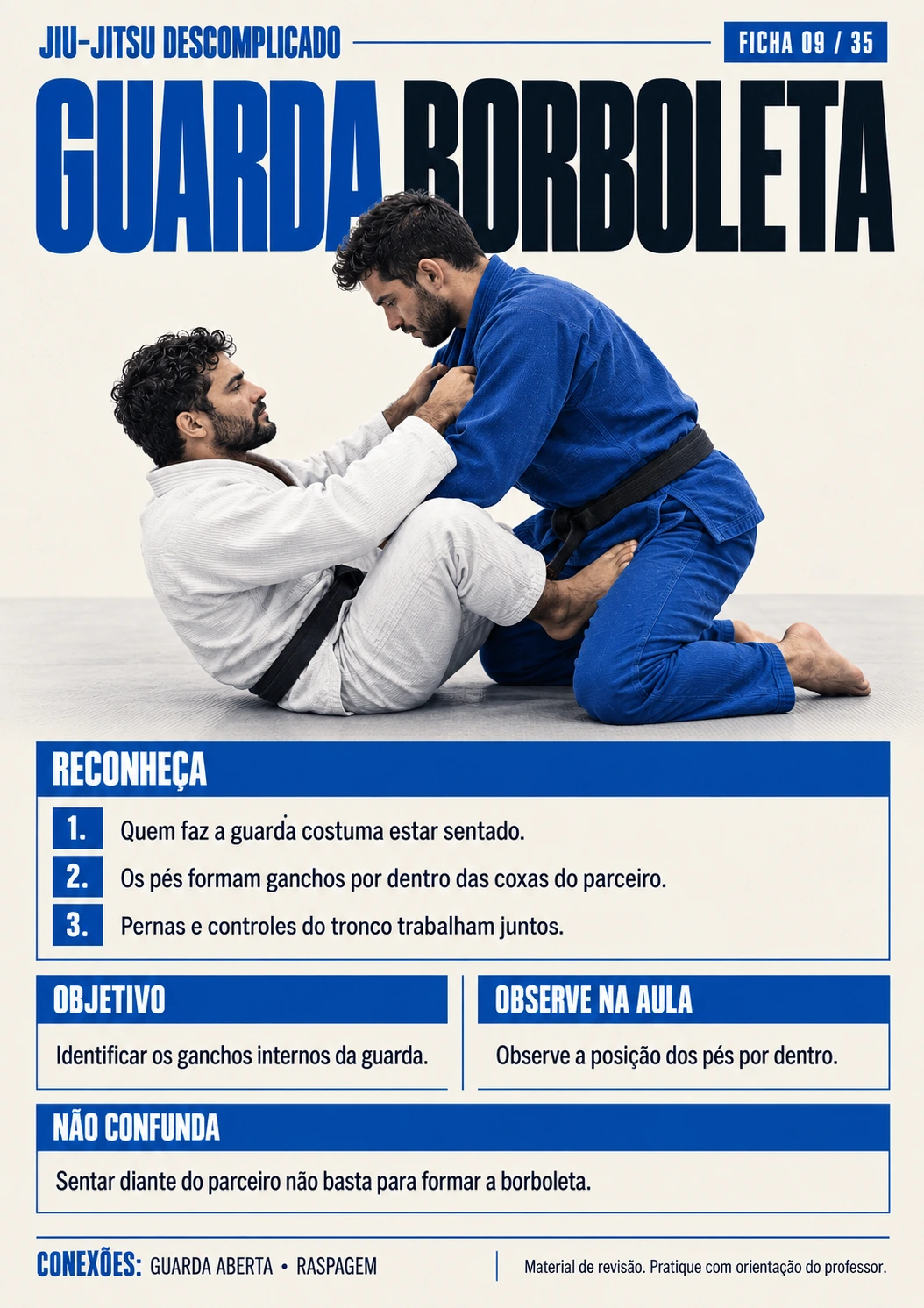GUARDA BORBOLETA